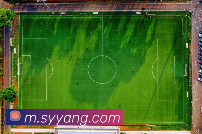 九游官网APP 封面图